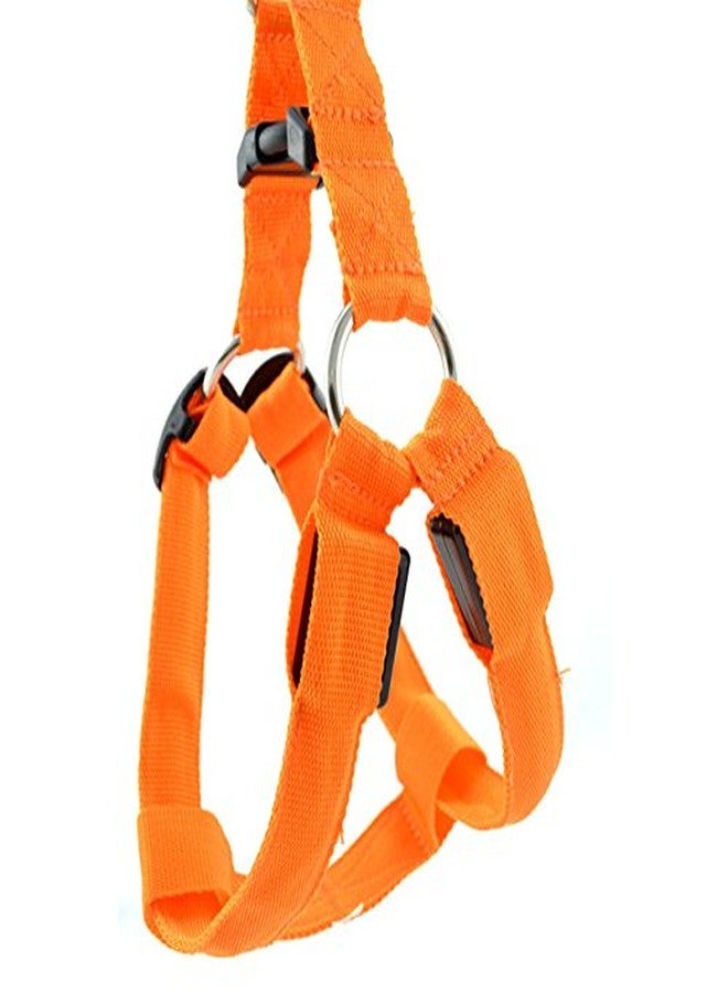 Futaba Dog LED Harness Flashing Light 3 Mode - Orange - Medium - Image 2